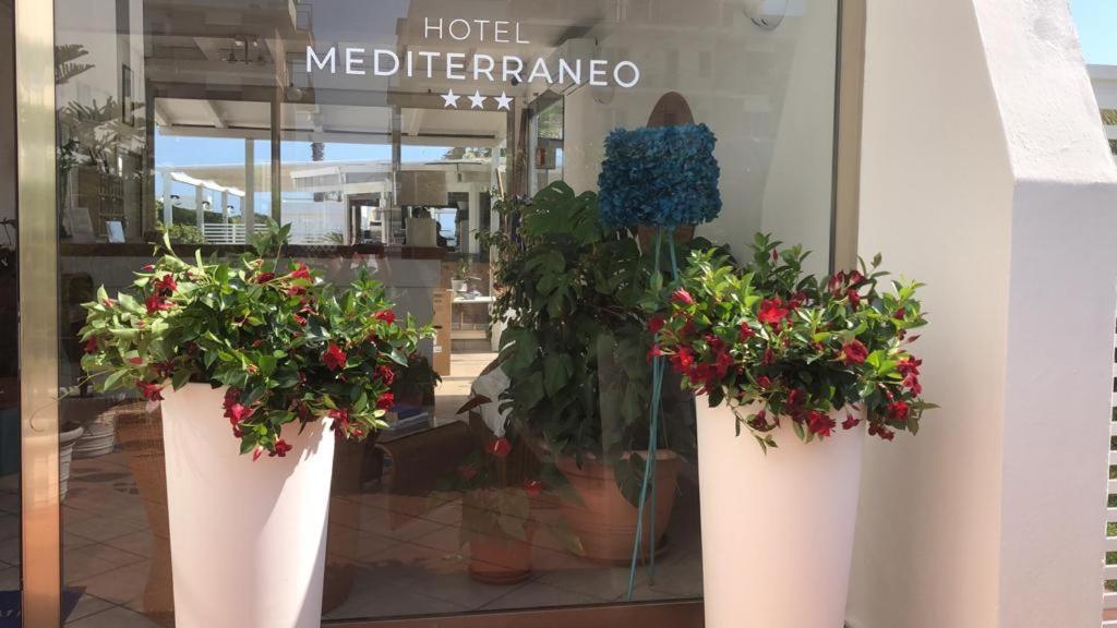 Hotel Mediterraneo Lido di Latina Luaran gambar